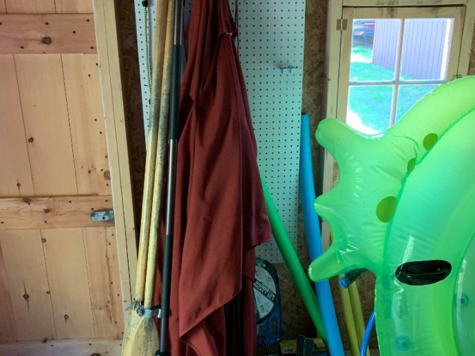 Trout Lake - Amazing Acorn